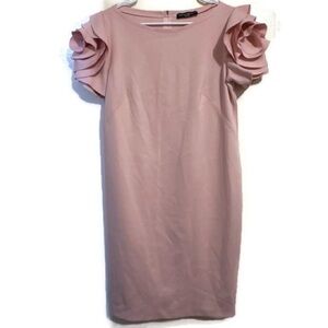 Pietro Brunelli Maternity Salisburgo Dress With Ruffle Rose Sleeves